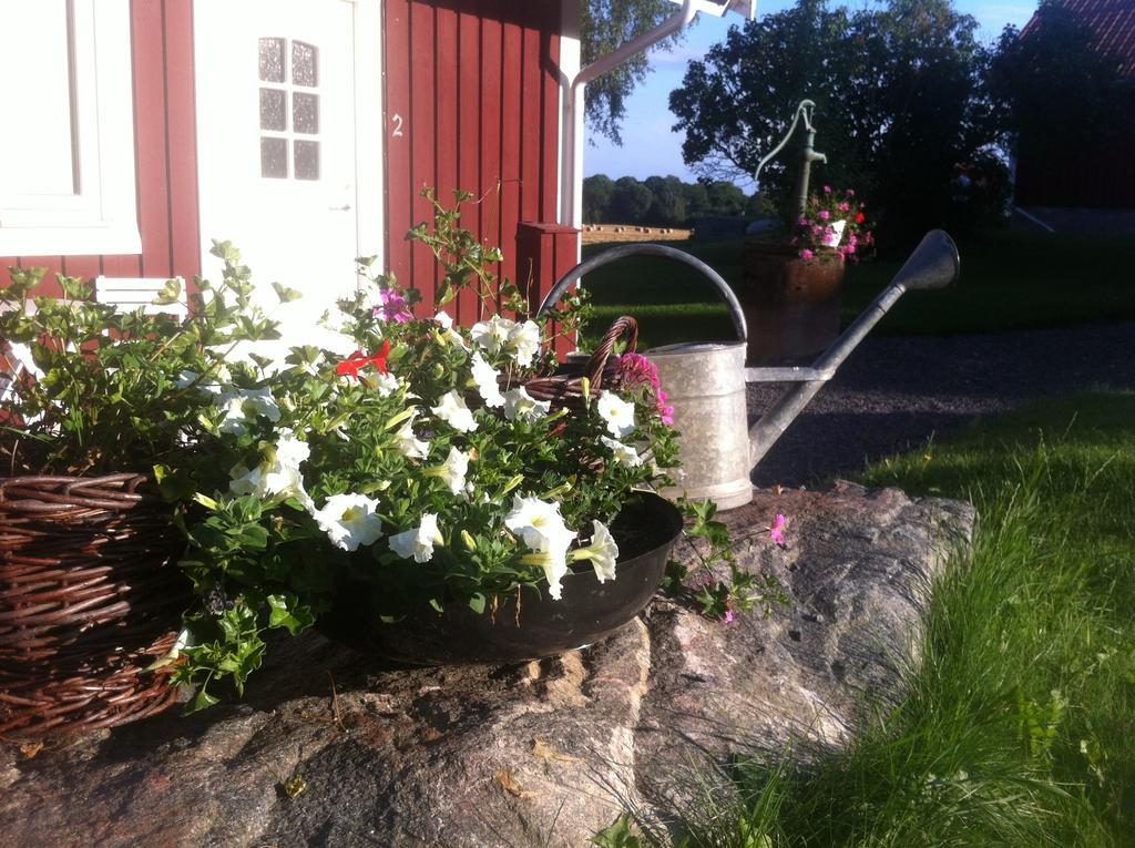 Hogby Spa & Konferens Borensberg Værelse billede